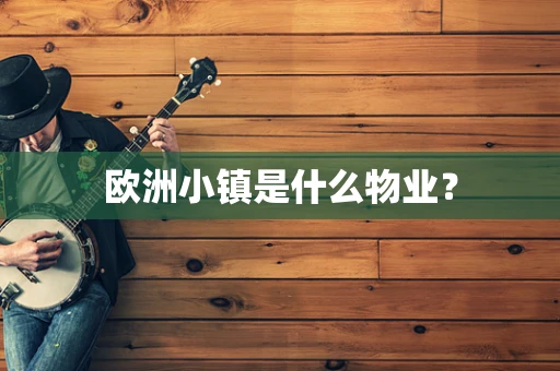 欧洲小镇是什么物业？