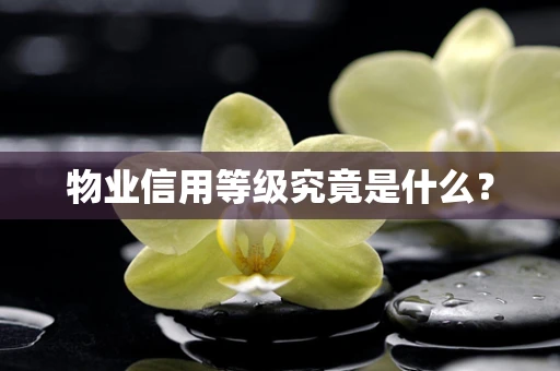 物业信用等级究竟是什么？