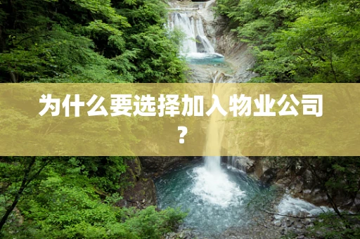 为什么要选择加入物业公司？
