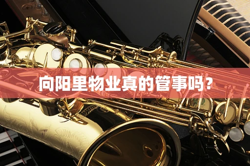向阳里物业真的管事吗？
