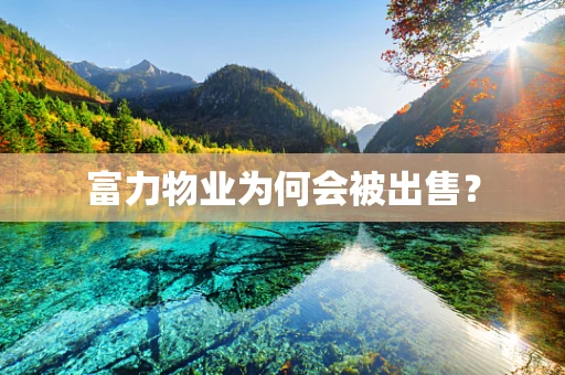 富力物业为何会被出售？