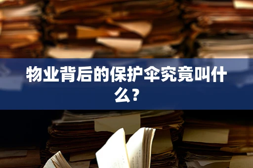 物业背后的保护伞究竟叫什么？