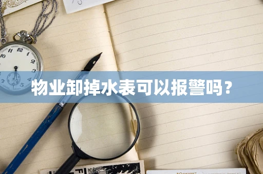 物业卸掉水表可以报警吗？