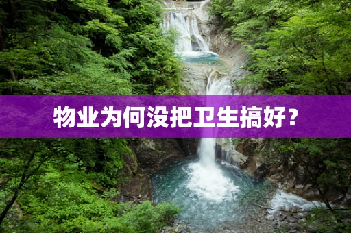 物业为何没把卫生搞好？