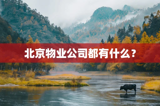 北京物业公司都有什么？
