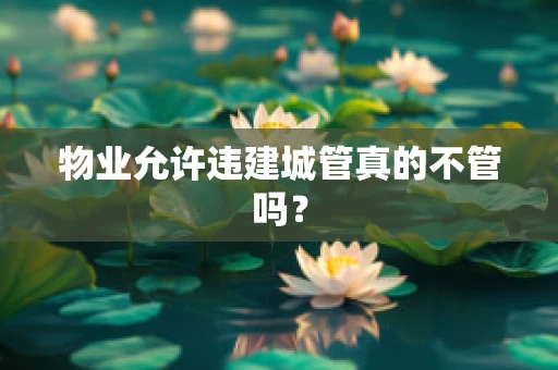 物业允许违建城管真的不管吗？