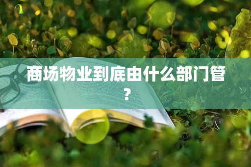 商场物业到底由什么部门管？