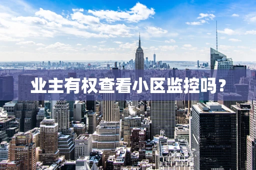 业主有权查看小区监控吗？