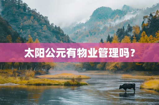太阳公元有物业管理吗？