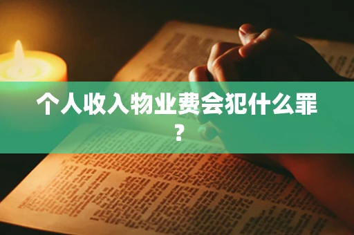 个人收入物业费会犯什么罪？