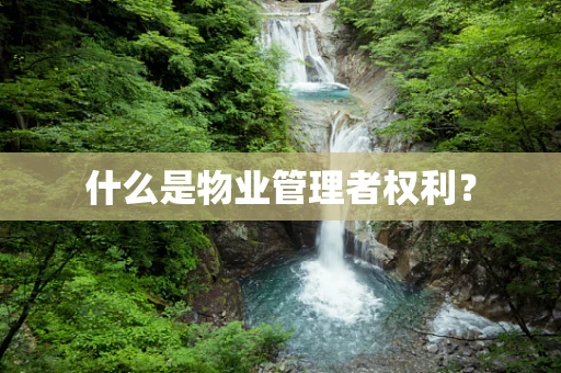 什么是物业管理者权利？