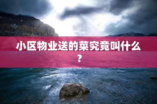 小区物业送的菜究竟叫什么？