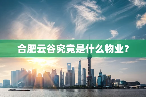 合肥云谷究竟是什么物业？