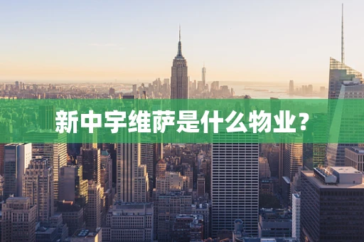 新中宇维萨是什么物业？