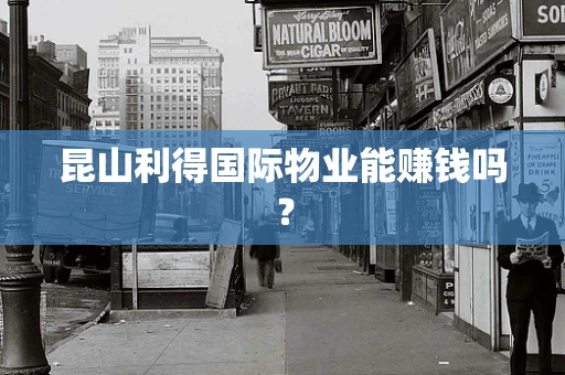 昆山利得国际物业能赚钱吗？