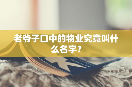 老爷子口中的物业究竟叫什么名字？
