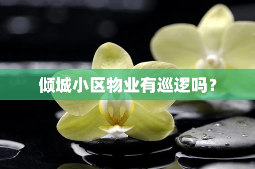 倾城小区物业有巡逻吗？