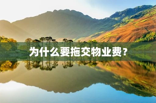 为什么要拖交物业费？