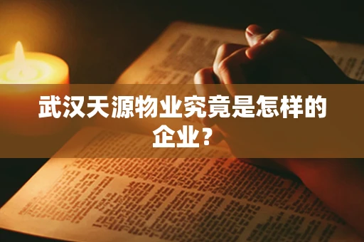 武汉天源物业究竟是怎样的企业？