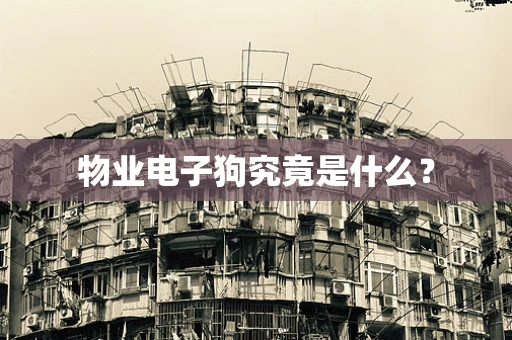 物业电子狗究竟是什么？