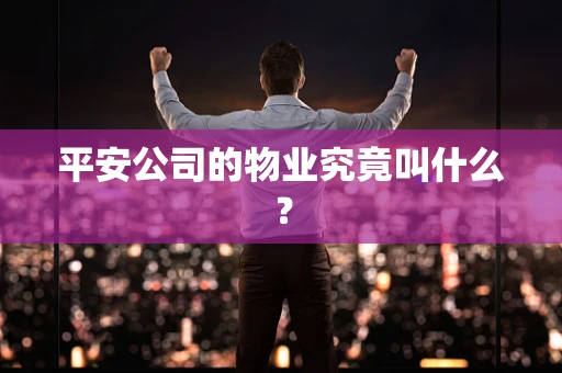 平安公司的物业究竟叫什么？