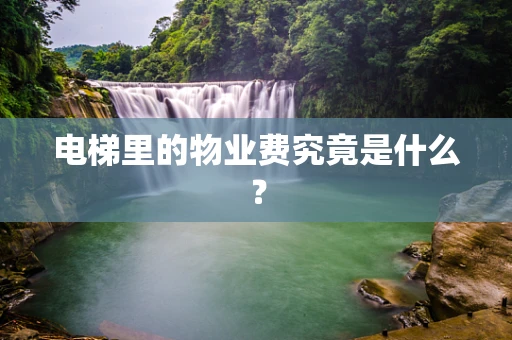 电梯里的物业费究竟是什么？