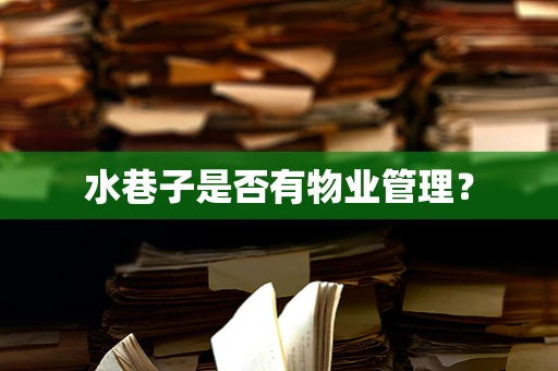 水巷子是否有物业管理？