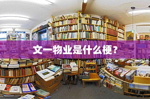 文一物业是什么梗？