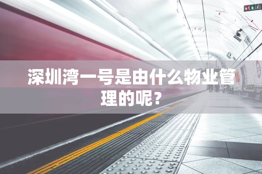 深圳湾一号是由什么物业管理的呢？