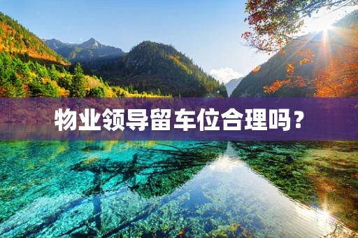 物业领导留车位合理吗？