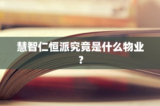 慧智仁恒派究竟是什么物业？