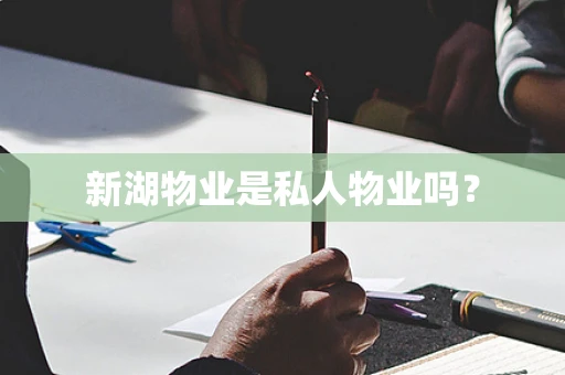 新湖物业是私人物业吗？