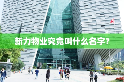 新力物业究竟叫什么名字？
