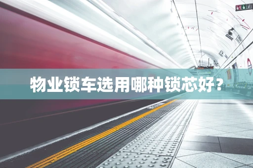 物业锁车选用哪种锁芯好？
