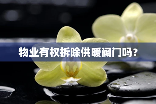 物业有权拆除供暖阀门吗？