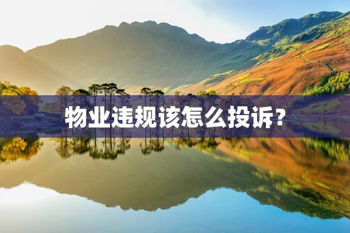 物业违规该怎么投诉？
