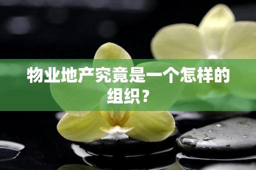 物业地产究竟是一个怎样的组织？