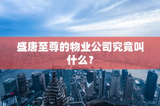 盛唐至尊的物业公司究竟叫什么？