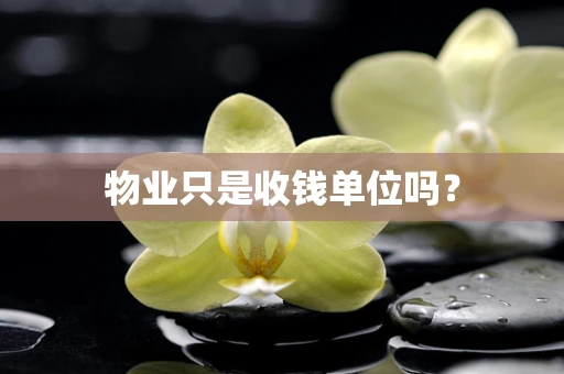 物业只是收钱单位吗？
