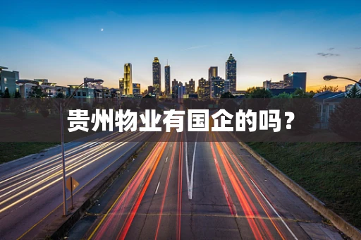 贵州物业有国企的吗？