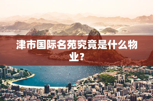 津市国际名苑究竟是什么物业？
