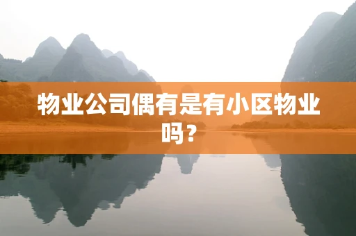物业公司偶有是有小区物业吗？