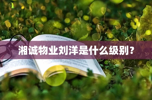 湘诚物业刘洋是什么级别？