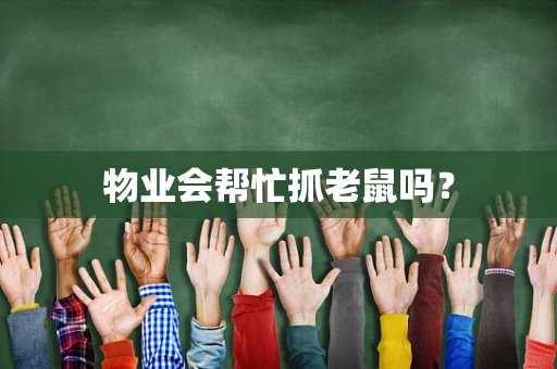 物业会帮忙抓老鼠吗？