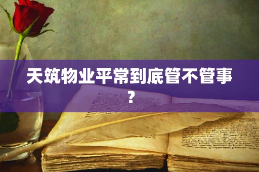 天筑物业平常到底管不管事？