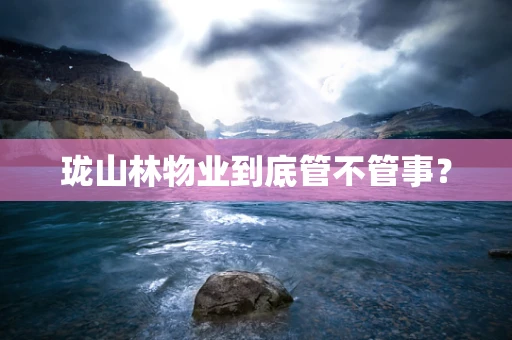珑山林物业到底管不管事？