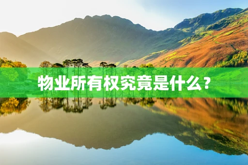 物业所有权究竟是什么？