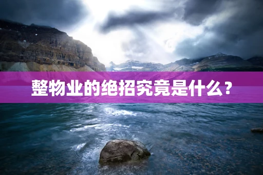 整物业的绝招究竟是什么？