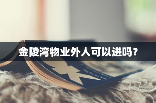 金陵湾物业外人可以进吗？