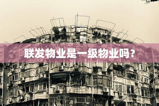 联发物业是一级物业吗？